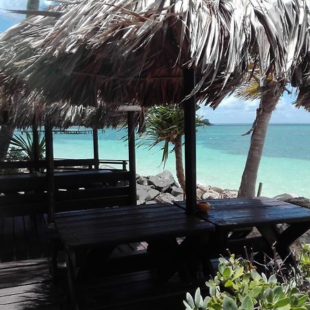 St Martin Nettle Bay Lovely Appartment Sandy Ground Kültér fotó